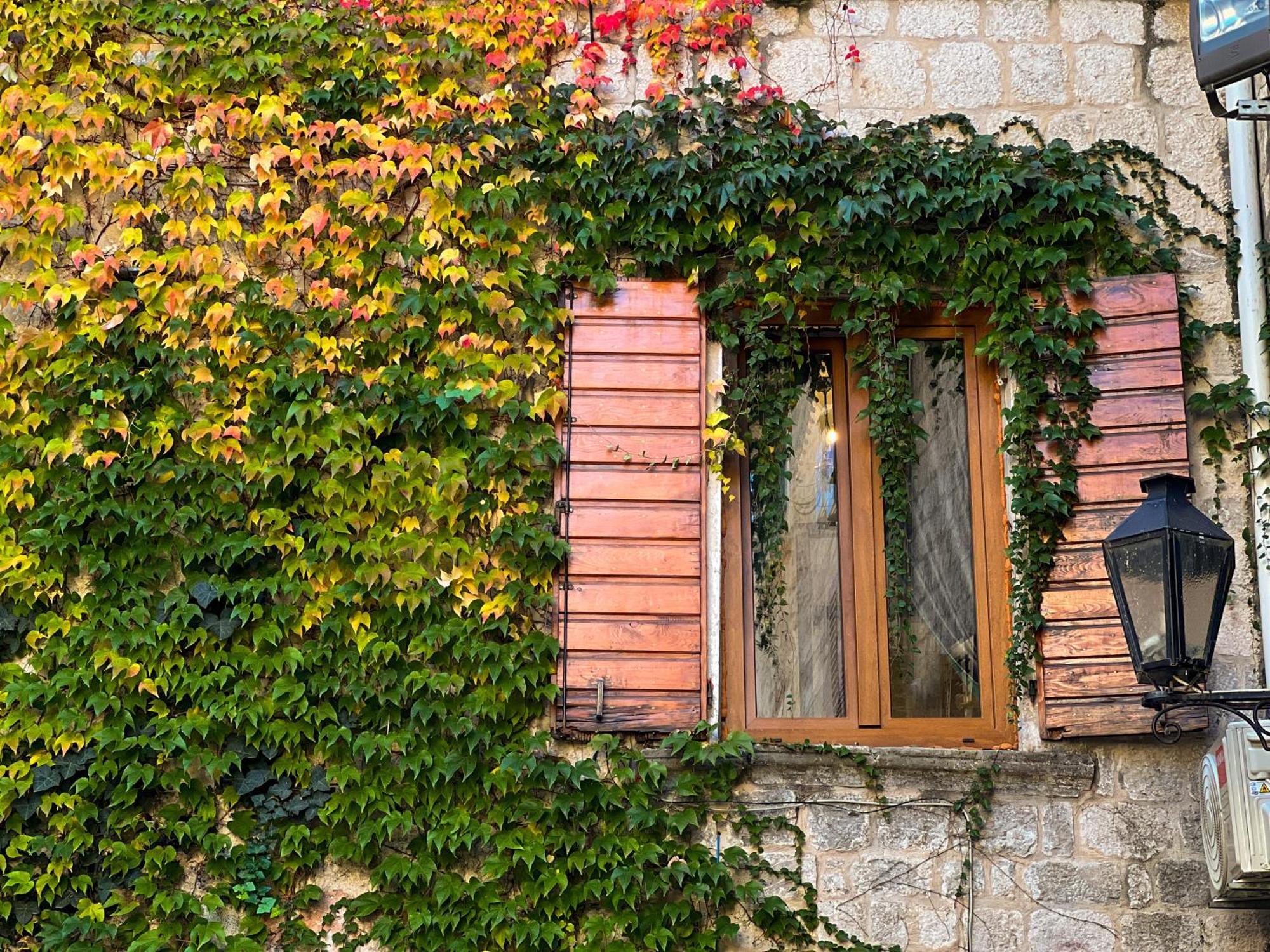 La Mia Amore Kotor Bagian luar foto